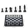 toytastic magnetic educational chess board set with folding chess board 2 plyaers travel toys for kids and adults (10 inch) (black color)